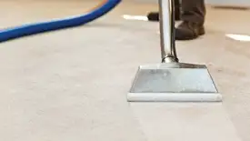 Carpet cleaning wand head gliding over a light carpet during hot-water extraction, Arvada, CO.